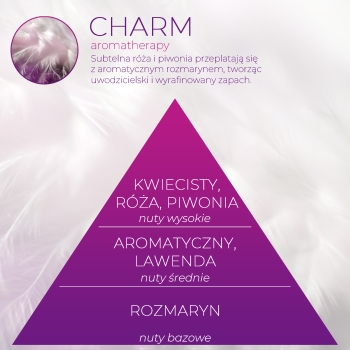 <B>CHARM</B> SPRAY 250 ml odświeżacz powietrza PREMIUM